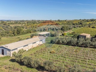 Terreno agricolo in Vendita a Pitigliano, 330'000€, 289486 m²