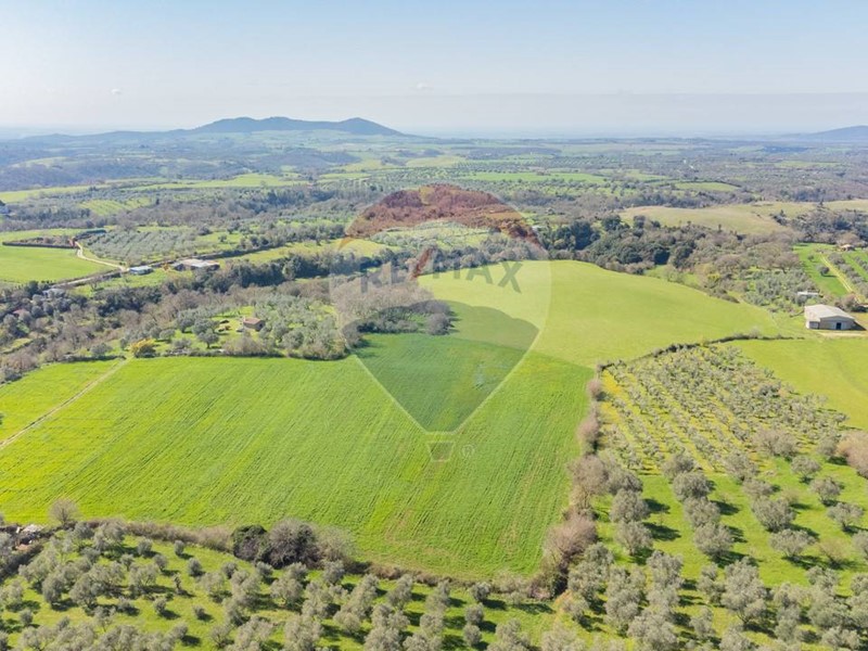 Terreno agricolo in Vendita a Ischia di Castro, 150'000€, 77370 m²