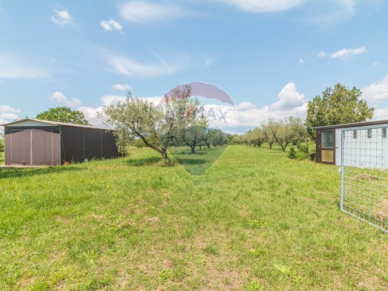 Terreno agricolo in Vendita a Ischia di Castro, 23'000€, 11880 m²