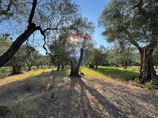 Terreno agricolo in Vendita a Vieste, 19'000€, 5255 m²