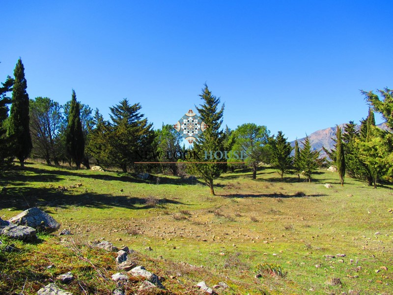 Terreno edificabile in Vendita a Petralia Soprana, 149'000€, 96000 m²