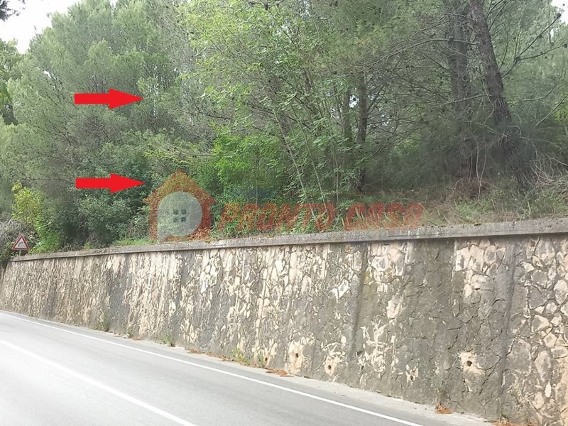 Terreno agricolo in Vendita a Vico del Gargano, 6'500€, 4300 m²