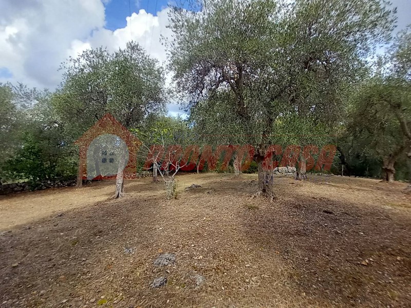 Terreno agricolo in Vendita a Ischitella, 11'000€, 2405 m²