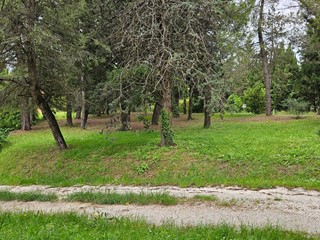 Rustico in Vendita a Cartoceto, 135'000€, 350 m²