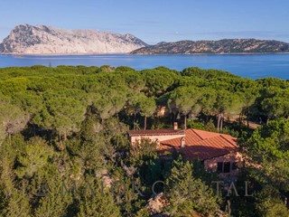 Villa in Vendita a San Teodoro, 1'050'000€, 180 m²