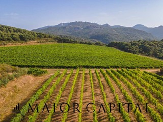 Terreno agricolo in Vendita a Calangianus, 840'000€, 250000 m²