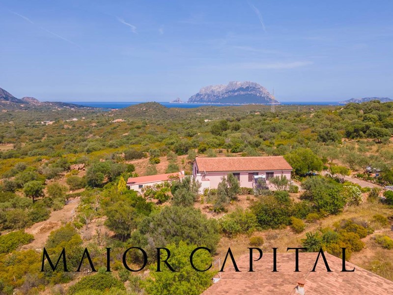 Villa in Vendita a Olbia, 400 m²