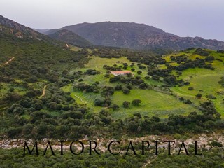 Terreno agricolo in Vendita a Berchidda, 720'000€, 812500 m²