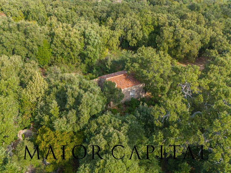 Terreno agricolo in Vendita a Calangianus, 150'000€, 135000 m²