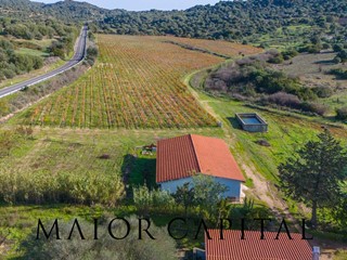 Terreno agricolo in Vendita a Oliena, 449'000€, 100000 m²