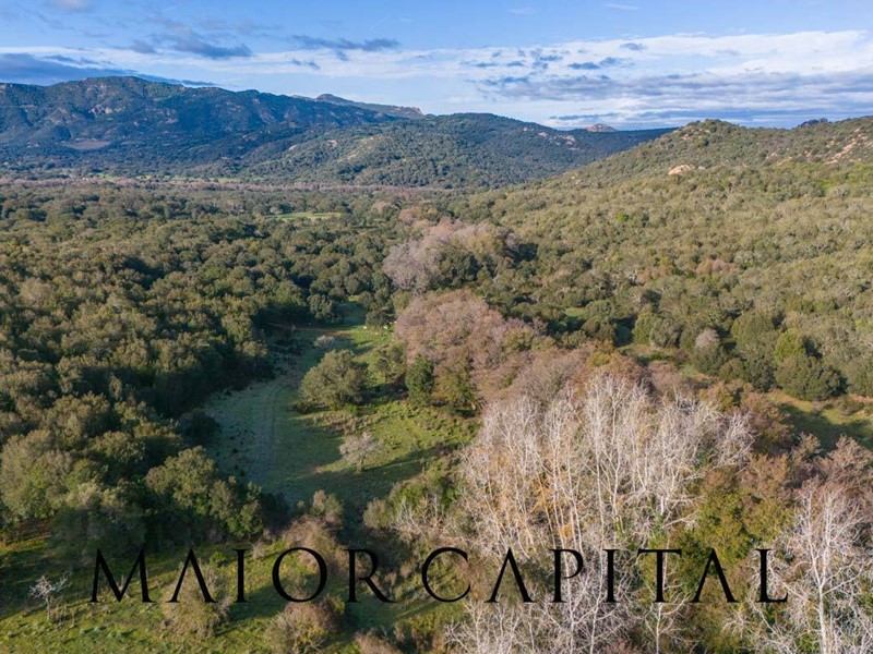 Terreno agricolo in Vendita a Padru, 550'000€, 350000 m²