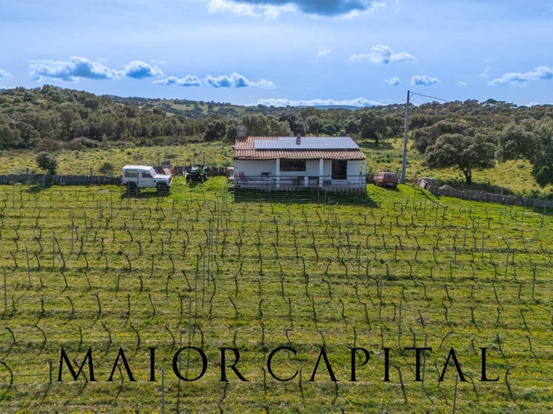 Terreno agricolo in Vendita a Oschiri, 129'000€, 22000 m²