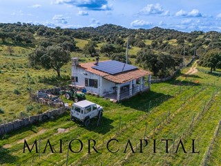 Terreno agricolo in Vendita a Oschiri, 129'000€, 22000 m²