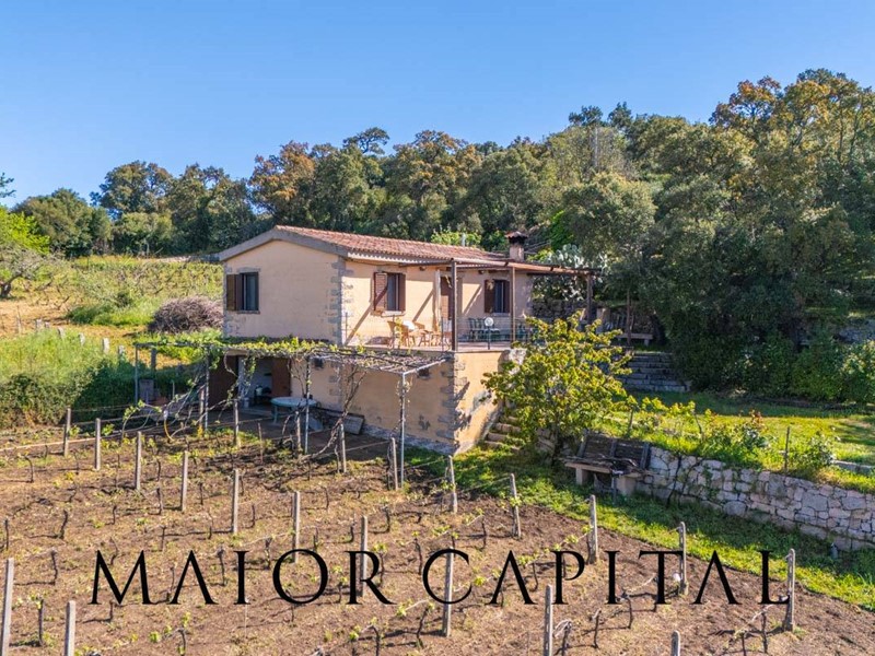 Casa Indipendente in Vendita a Calangianus, 110'000€, 70 m²