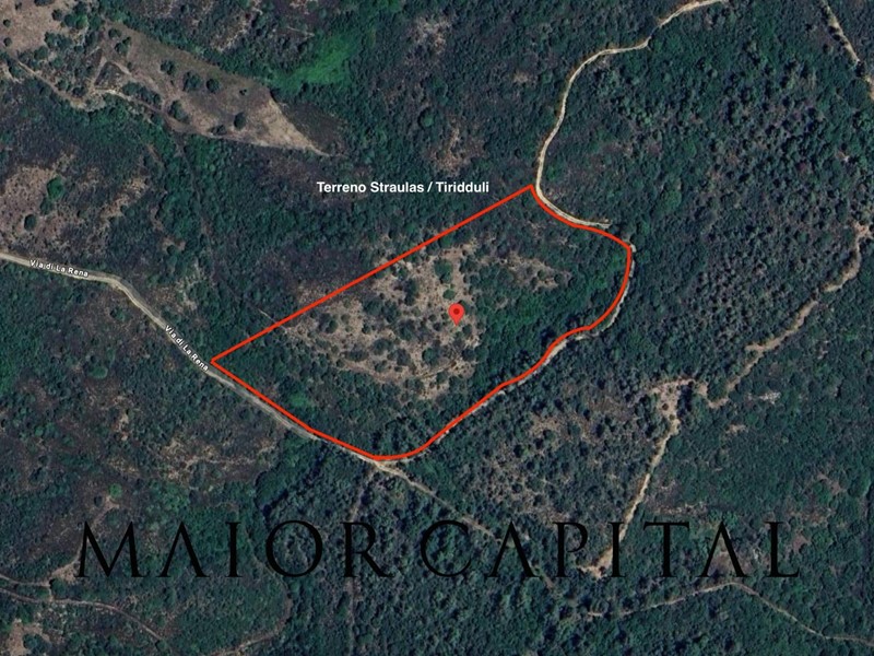 Terreno agricolo in Vendita a San Teodoro, 26'000€, 14433 m²