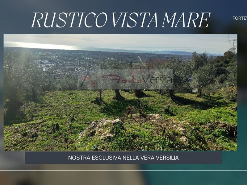 Rustico in Vendita a Pietrasanta, 490'000€, 115 m²