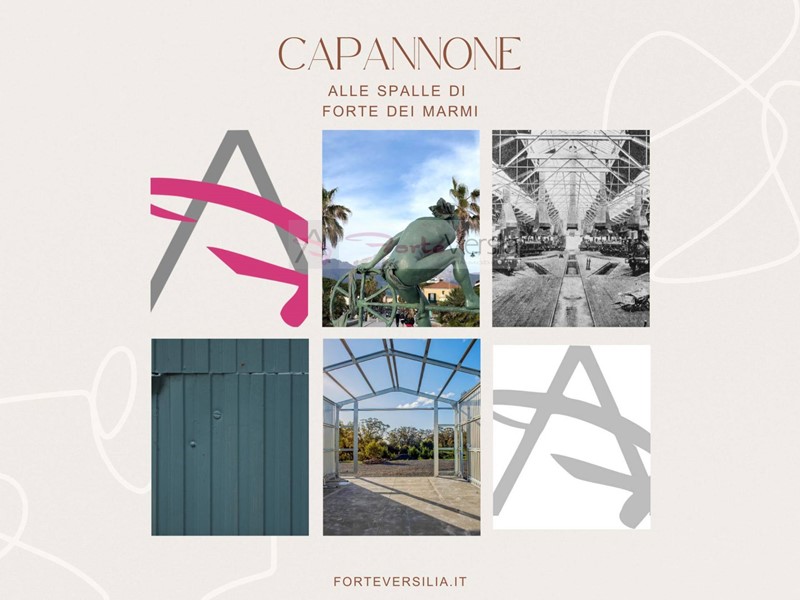 Capannone in Vendita a Seravezza, 550'000&euro;, 460 m²