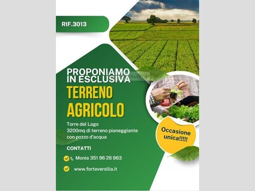 Terreno agricolo in Vendita a Viareggio, 75'000€, 3200 m²