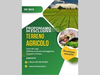 Terreno agricolo in Vendita a Viareggio, 75'000€, 3200 m²