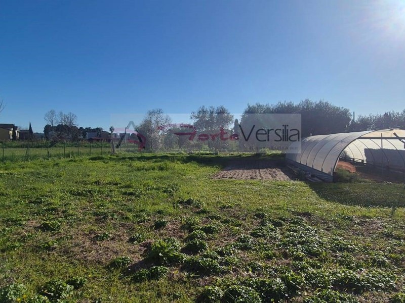 Terreno agricolo in Vendita a Forte dei Marmi, 58'000€, 1500 m²