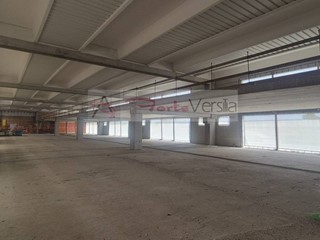 Immobile commerciale in Vendita a Pietrasanta, 1000 m²