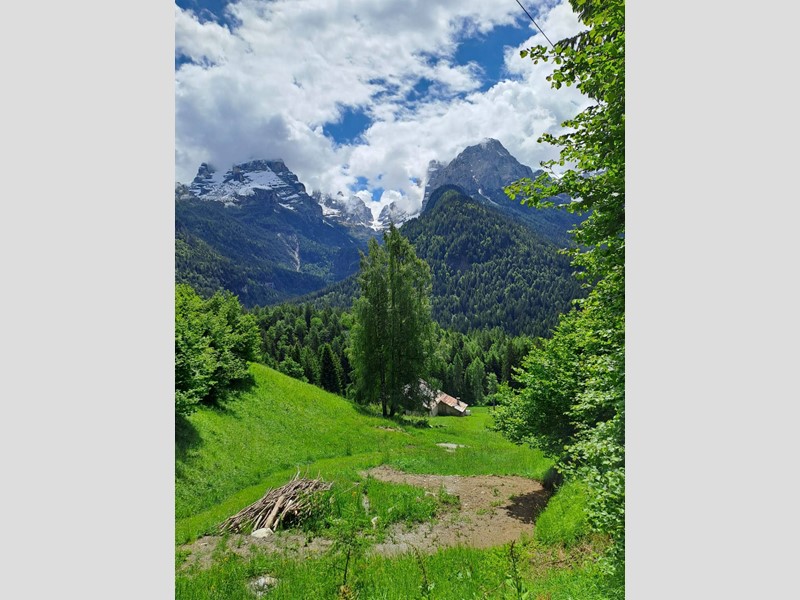 Cascina in Vendita a Pinzolo, 305 m²