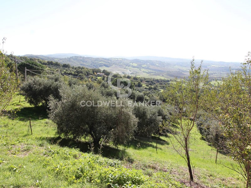 Casa Indipendente in Vendita a Manciano, 389'000€, 300 m²