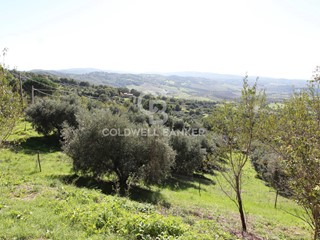 Casa Indipendente in Vendita a Manciano, 389'000€, 300 m²