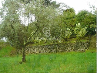 Terreno edificabile in Vendita a Velletri, 1'400'000€, 26255 m²