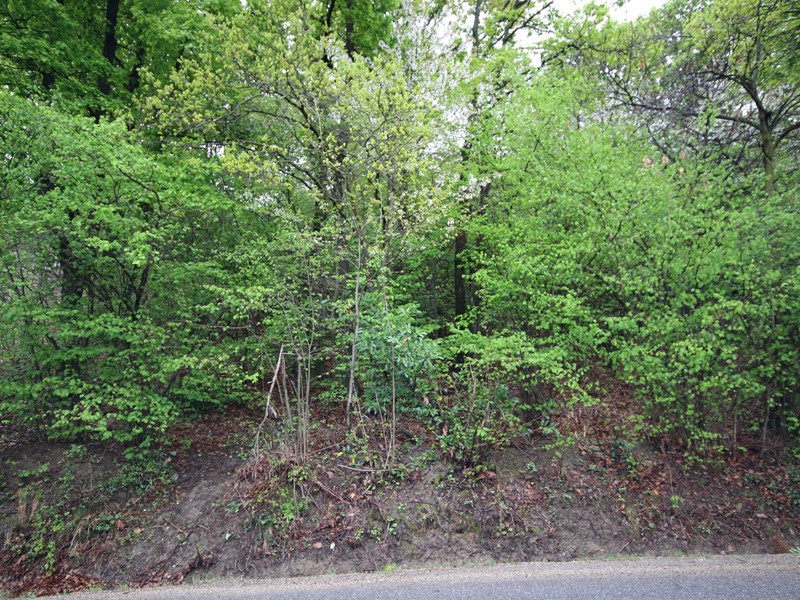 Terreno edificabile in Vendita a Moncalieri, 75'000€, 1290 m²