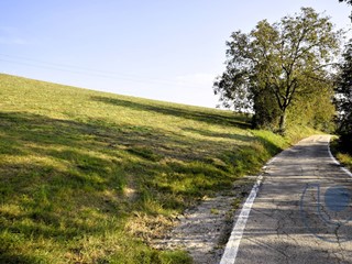 Terreno agricolo in Vendita a Pino Torinese, 90'000€, 17099 m²