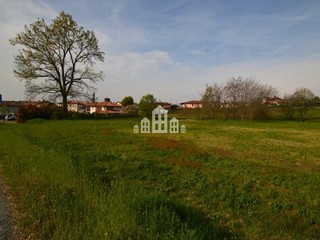 Terreno edificabile in Vendita a Torre Canavese, 70'000€, 6287 m²