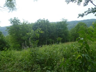 Terreno edificabile in Vendita a Strambinello, 32'000€, 1800 m²