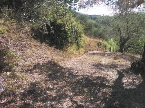 Terreno agricolo in Vendita a Guidonia Montecelio, 12'000€, 4800 m²