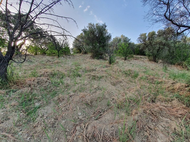 Terreno agricolo in Vendita a Marcellina, 24'000&euro;, 18000 m²