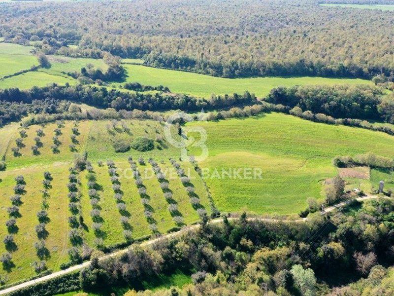 Terreno agricolo in Vendita a Ischia di Castro, 72'000€, 90000 m²