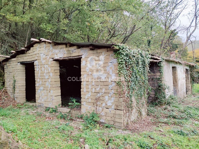 Rustico in Vendita a San Lorenzo Nuovo, 68'000€, 92 m²