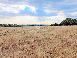 Terreno agricolo in Vendita a Cellere, 195'000€, 200000 m²