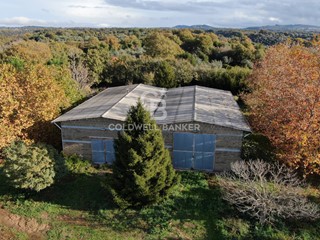 Attività commerciale in Vendita a Cellere, 195'000&euro;, 400 m², con Box