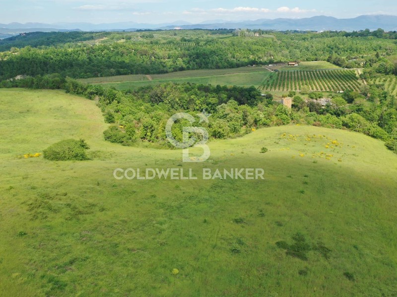 Terreno agricolo in Vendita a Vasanello, 470'000€, 370000 m²