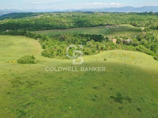 Terreno agricolo in Vendita a Vasanello, 470'000€, 370000 m²
