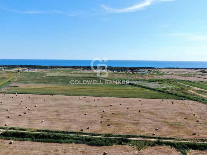 Terreno agricolo in Vendita a Montalto di Castro, 59'000€, 38280 m²
