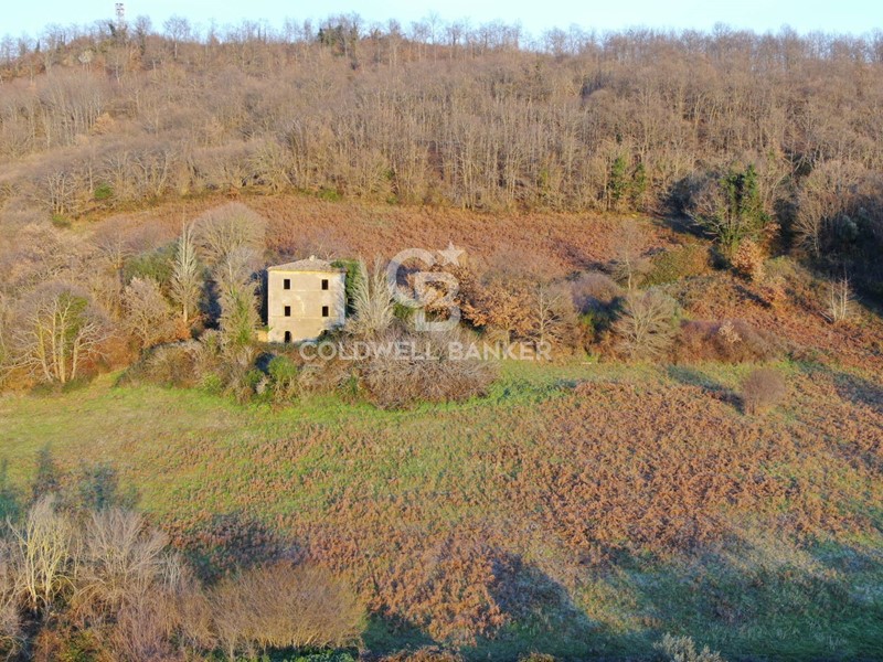 Rustico in Vendita a Latera, 115'000€, 250 m²