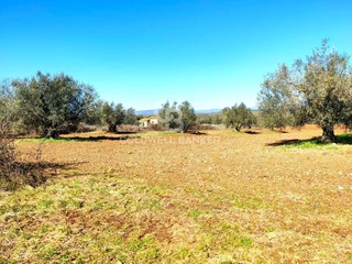 Terreno agricolo in Vendita a Ischia di Castro, 35'000€, 10130 m²