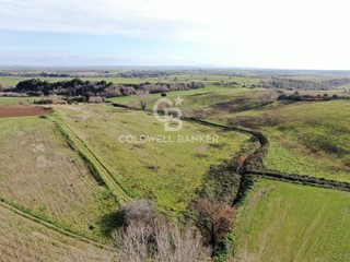 Terreno agricolo in Vendita a Montalto di Castro, 45'000€, 33190 m²