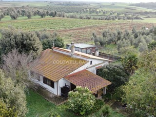 Rustico in Vendita a Canino, 135'000€, 100 m², con Box