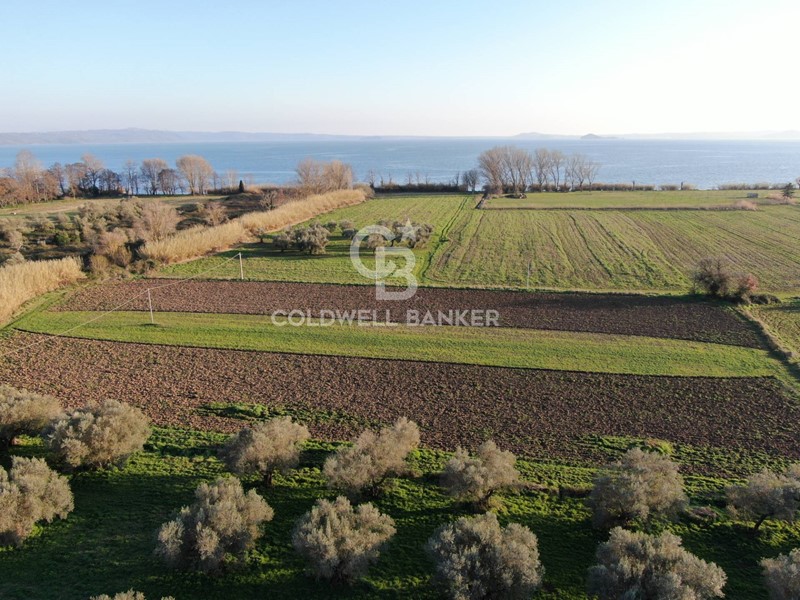 Terreno agricolo in Vendita a San Lorenzo Nuovo, 26'000€, 12360 m²
