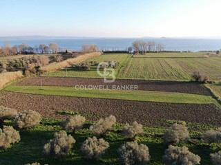 Terreno agricolo in Vendita a San Lorenzo Nuovo, 26'000€, 12360 m²