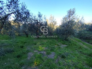 Terreno agricolo in Vendita a Gradoli, 25'000€, 4046 m²