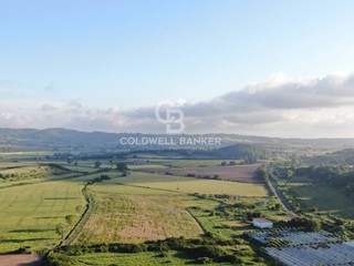 Terreno agricolo in Vendita a Latera, 1'650'000€, 825000 m²